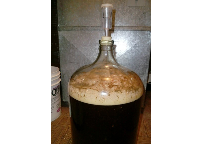 Fermentation after 12 hours